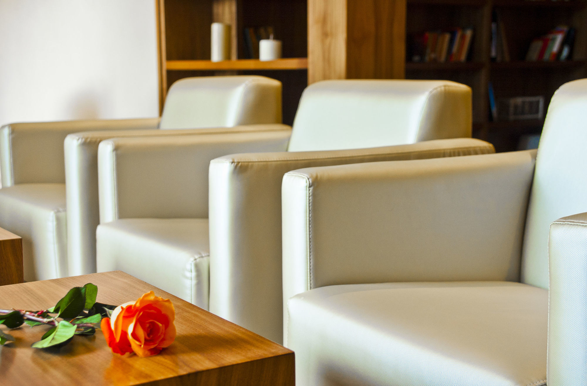 Sant Jordi Boutique Hotel Calella Exteriör bild The library